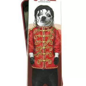 G-ROLLZ | Pets Rock Small Storage Box 24pcs in Display Set 2 - 12x4x2.5 cm